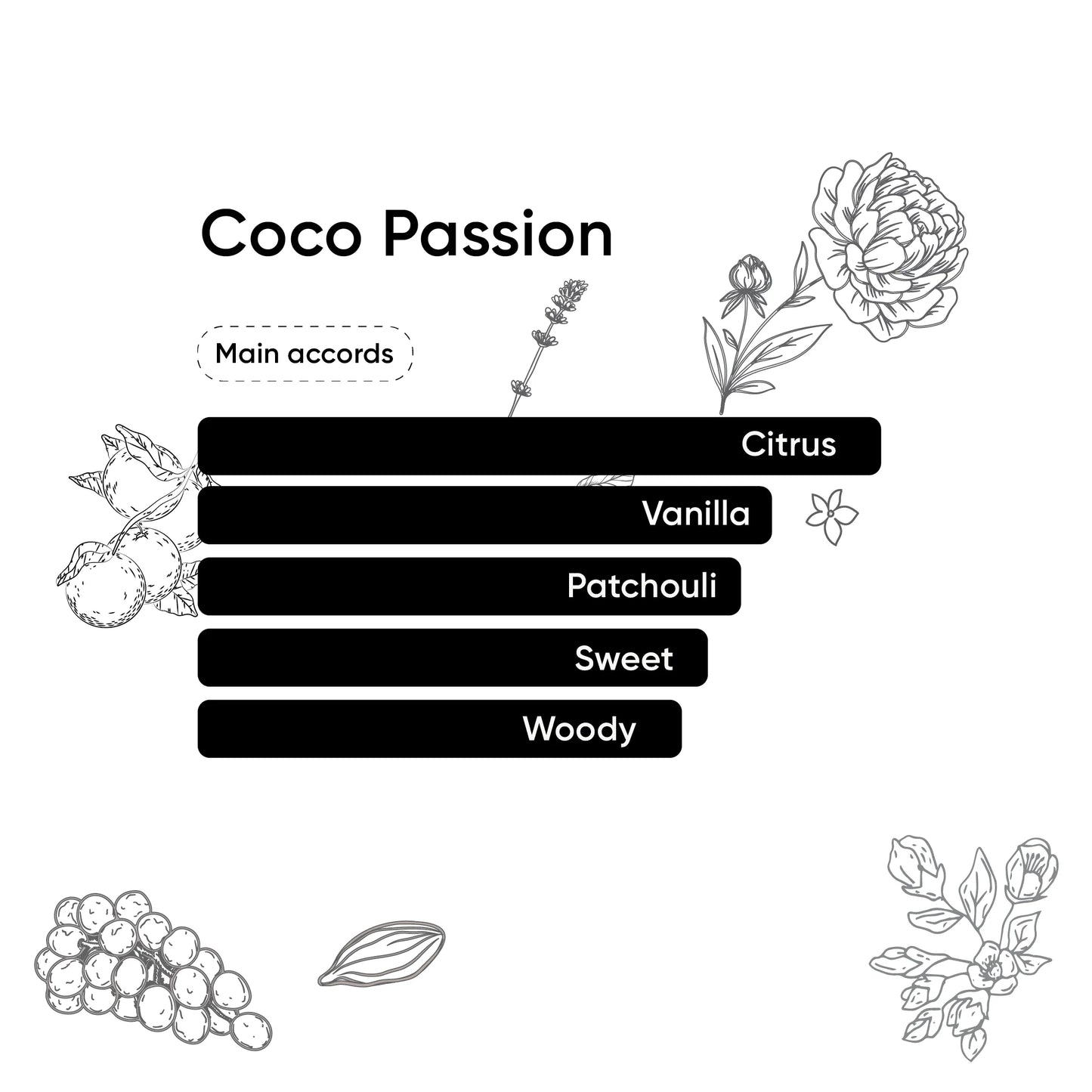 Coco Passion