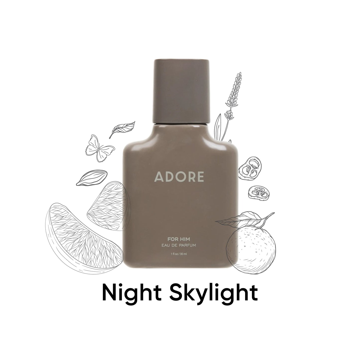Night Skylight